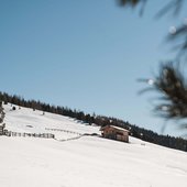 Ihr Winterurlaub in Südtirol im Naturhotel Lüsnerhof